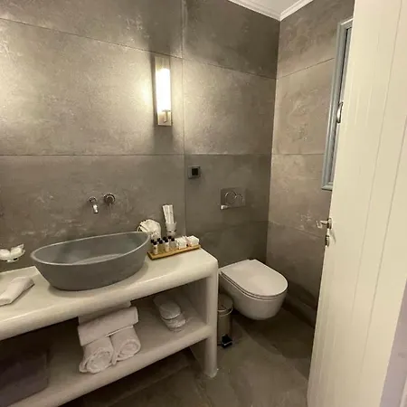 Anemi Vine Villa *
