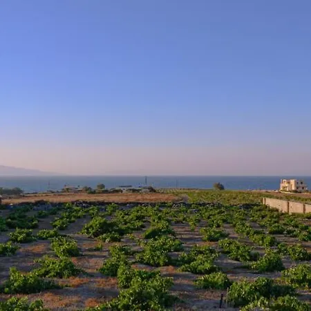 Villa Anemi Vine Foinikiá