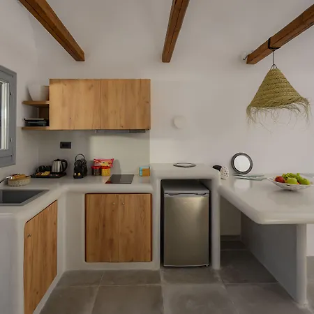 Anemi Vine Villa