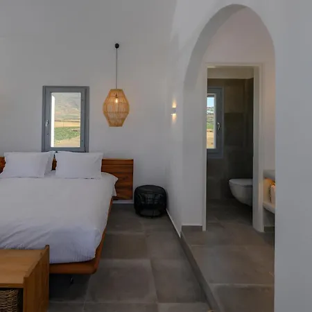 Villa Anemi Vine Foinikiá