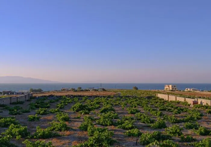 Villa Anemi Vine Foinikia (Santorini)